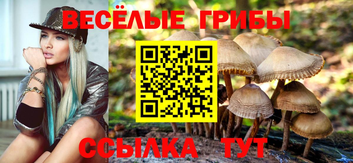 Псилоцибиновые грибы ЛСД Черкесск