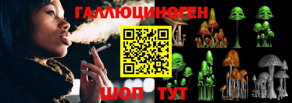 Галлюциногенные грибы мухоморы  Вход с VPN  купить наркотики сайты  Черкесск  Псилоцибиновые грибы Cubensis 
